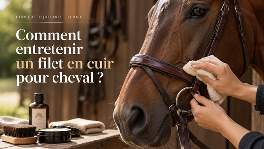 Comment entretenir un filet en cuir pour cheval ?