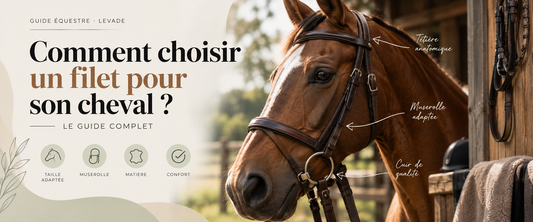Comment choisir un filet pour son cheval ?