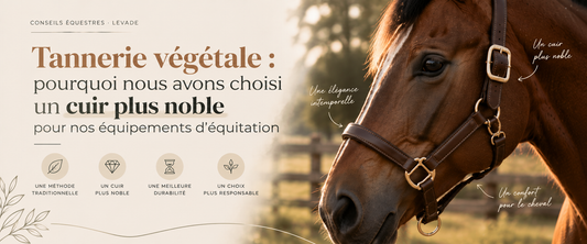 Tannerie végétale : pourquoi choisir un cuir haut de gamme pour votre cheval ?